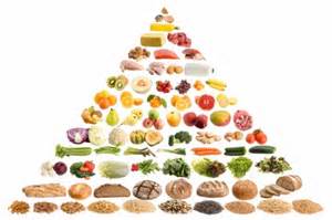 food pyramid