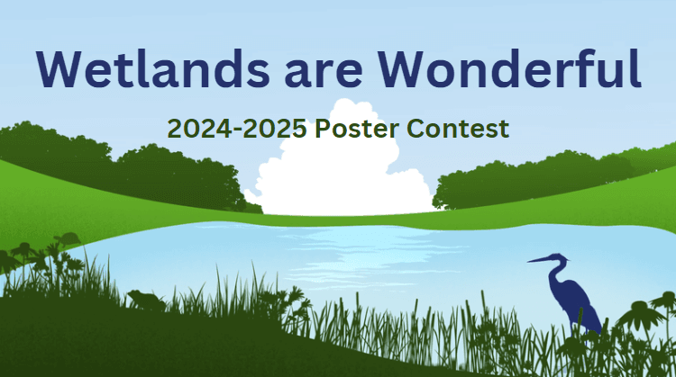 Wetlands are Wonderful flyer